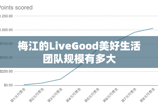 梅江的LiveGood美好生活团队规模有多大