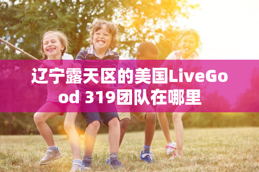 辽宁露天区的美国LiveGood 319团队在哪里