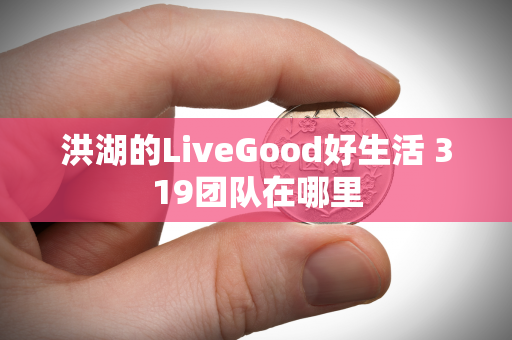 洪湖的LiveGood好生活 319团队在哪里