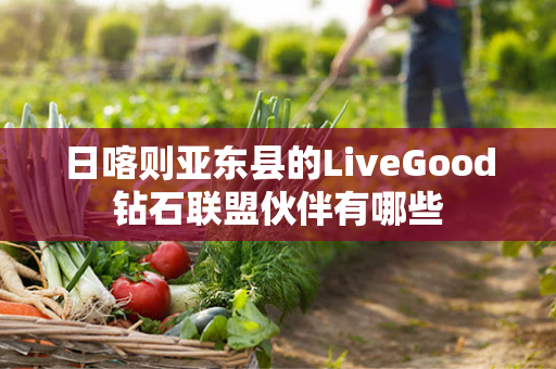 日喀则亚东县的LiveGood钻石联盟伙伴有哪些