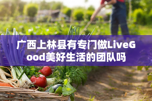 广西上林县有专门做LiveGood美好生活的团队吗第1张-美商LiveGood好生活