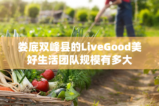 娄底双峰县的LiveGood美好生活团队规模有多大